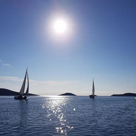 Tatil parkı K9 Mobile Camp Dalmacija Privlaka Privlaka (Zadar)